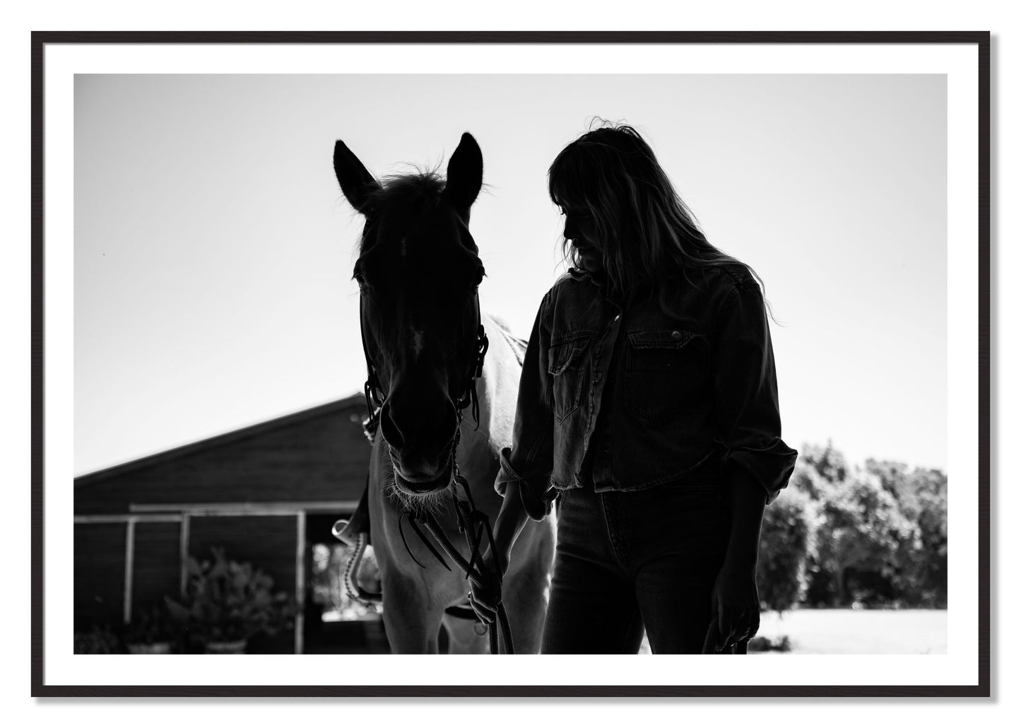 Framed photograph of American Quarter Horse by Dylan Ozanich, Black Walnut frame, Borders