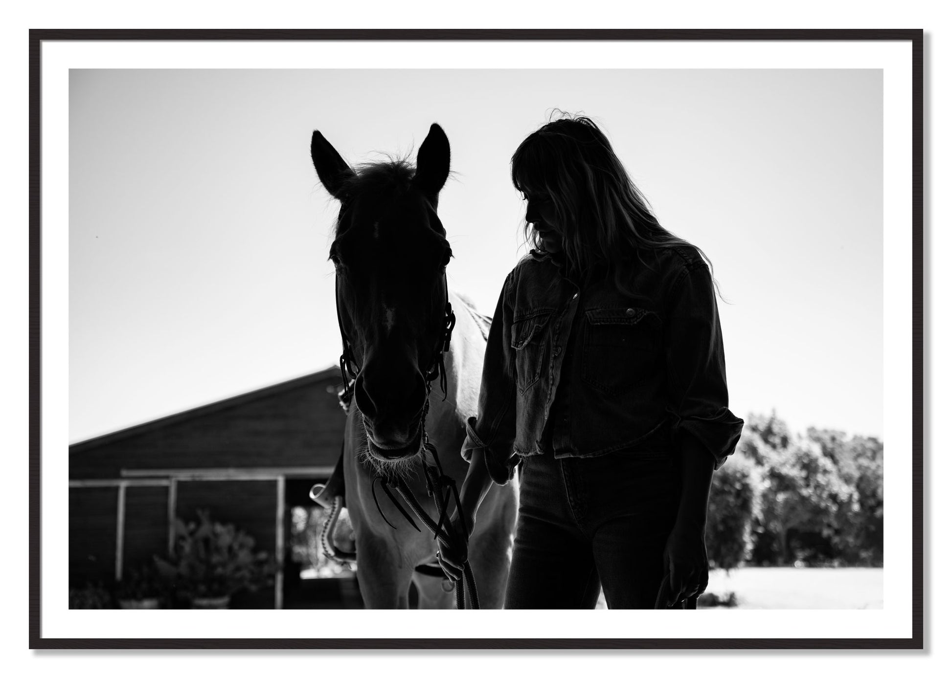 Framed photograph of American Quarter Horse by Dylan Ozanich, Black Walnut frame, Borders