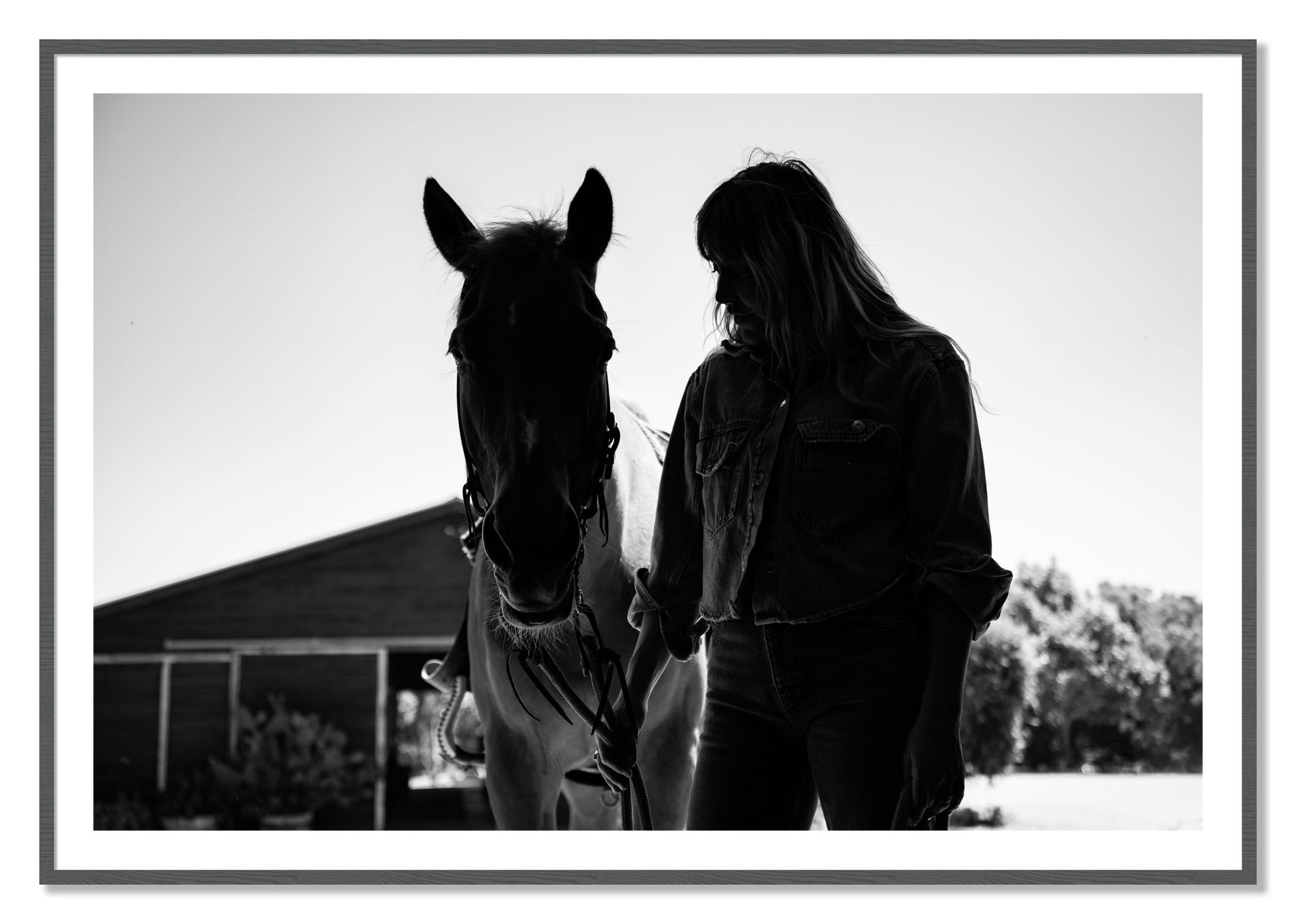 Framed photograph of American Quarter Horse by Dylan Ozanich, Grey frame, Borders