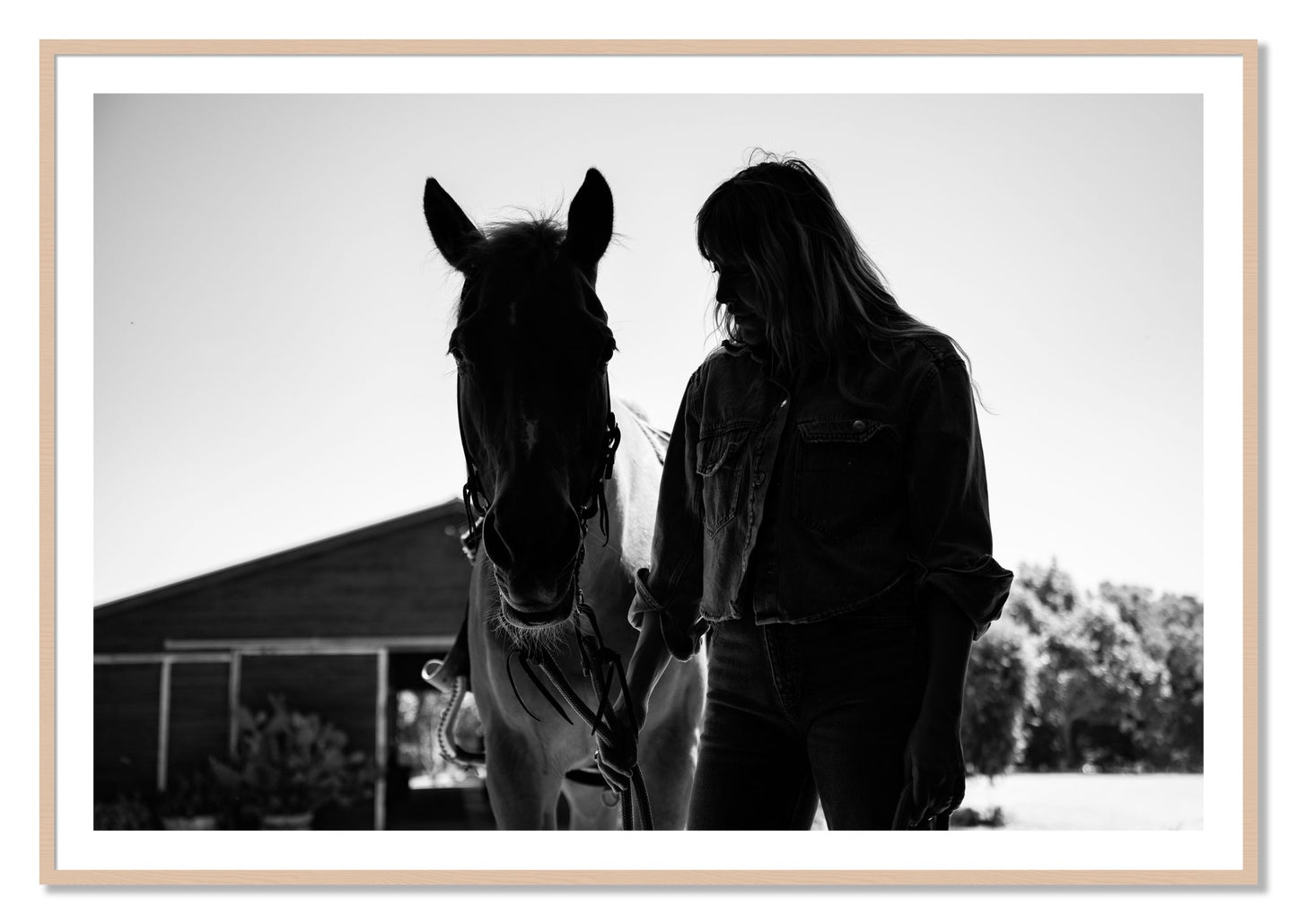 Framed photograph of American Quarter Horse by Dylan Ozanich, Maple frame, Borders