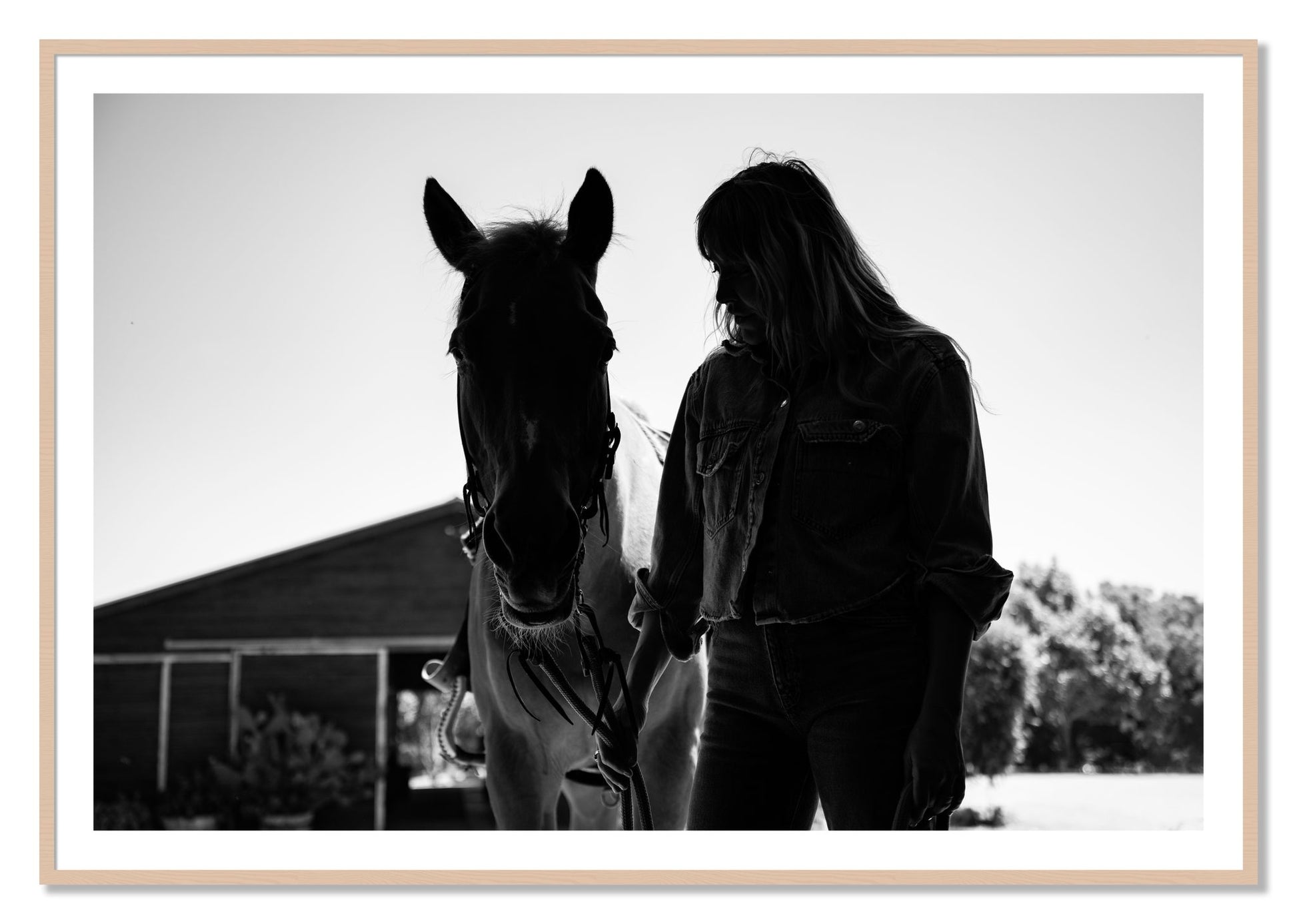 Framed photograph of American Quarter Horse by Dylan Ozanich, Maple frame, Borders