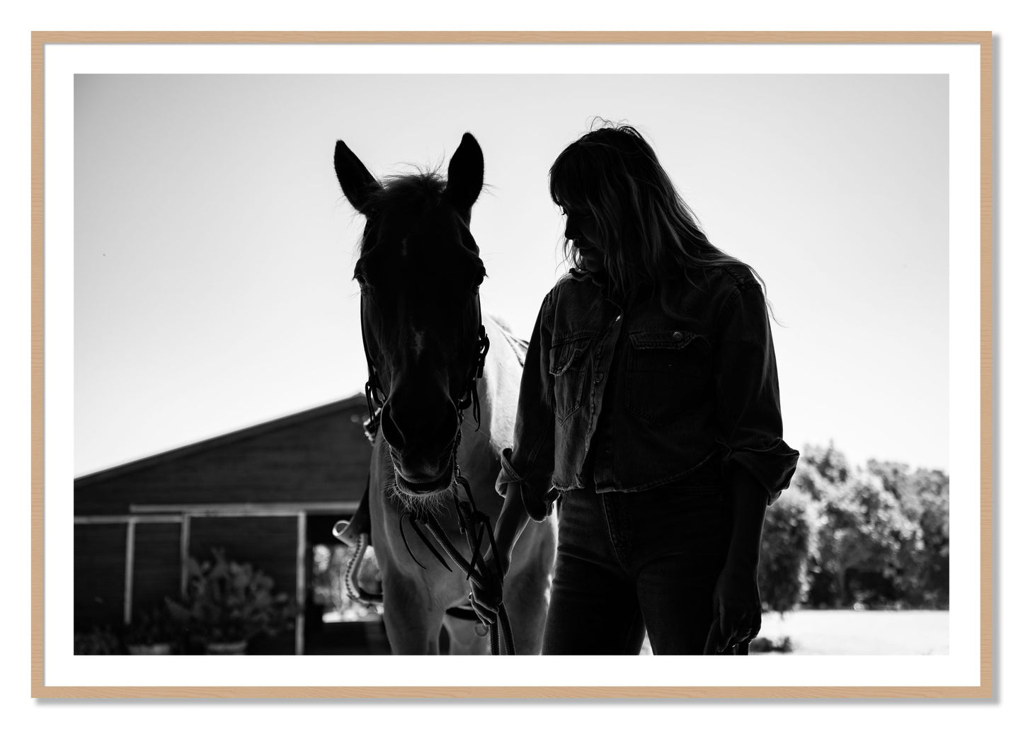 Framed photograph of American Quarter Horse by Dylan Ozanich, Oak frame, Borders
