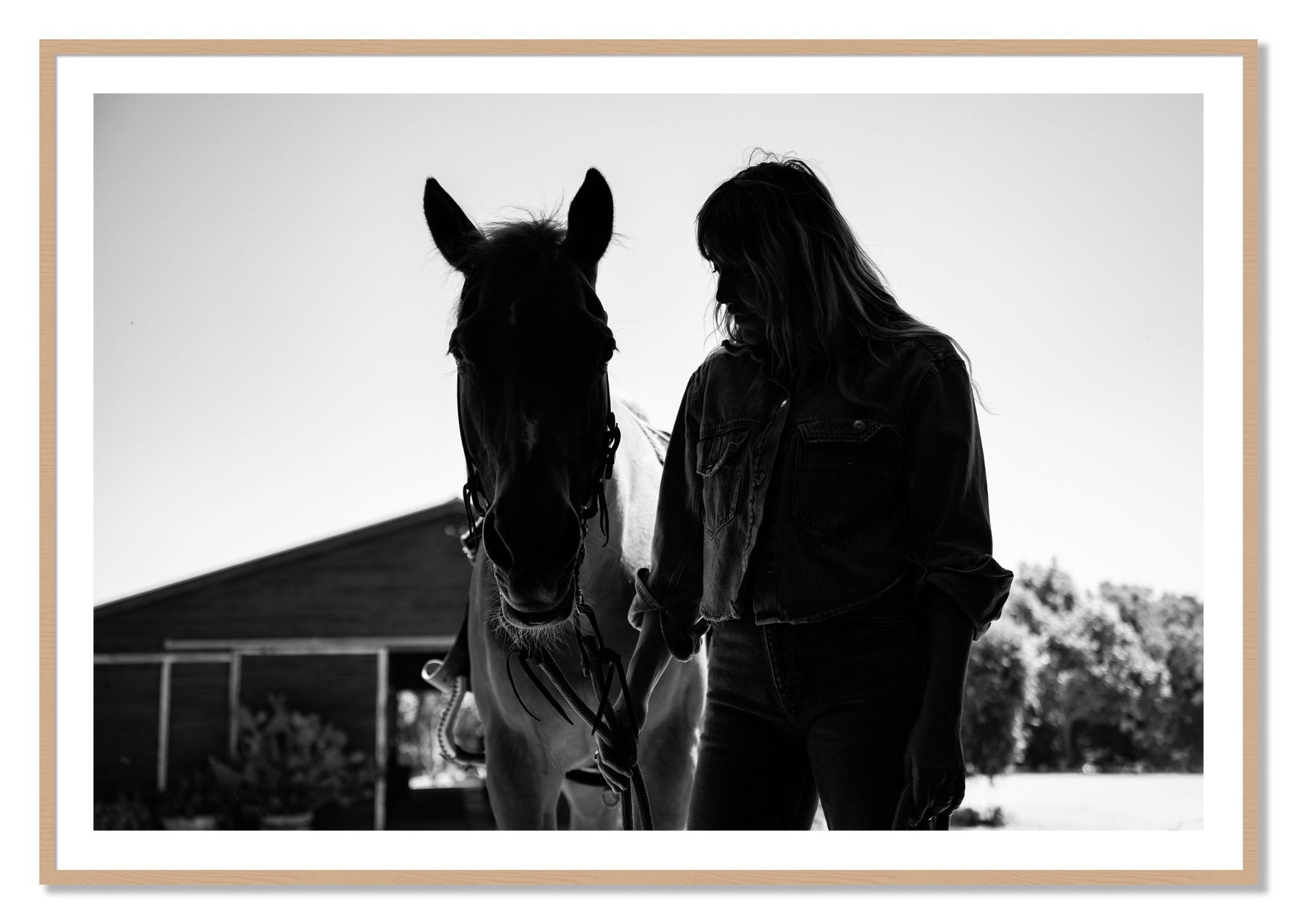 Framed photograph of American Quarter Horse by Dylan Ozanich, Oak frame, Borders