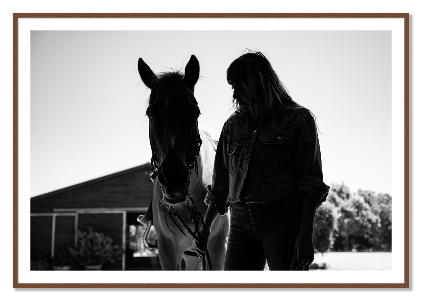 Framed photograph of American Quarter Horse by Dylan Ozanich, Walnut frame, Borders