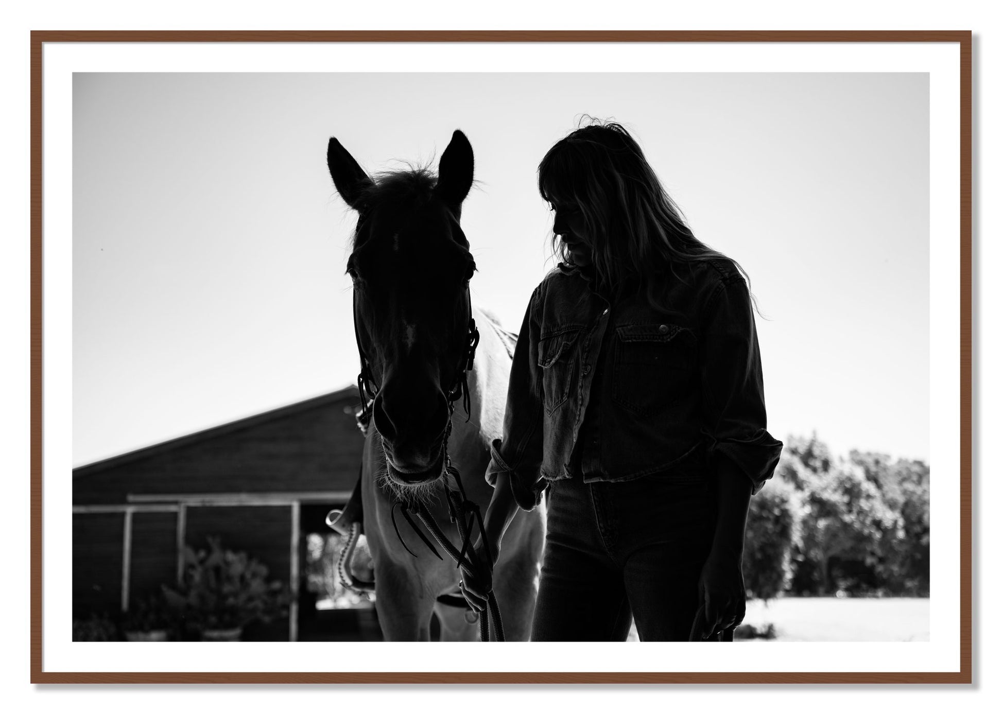 Framed photograph of American Quarter Horse by Dylan Ozanich, Walnut frame, Borders