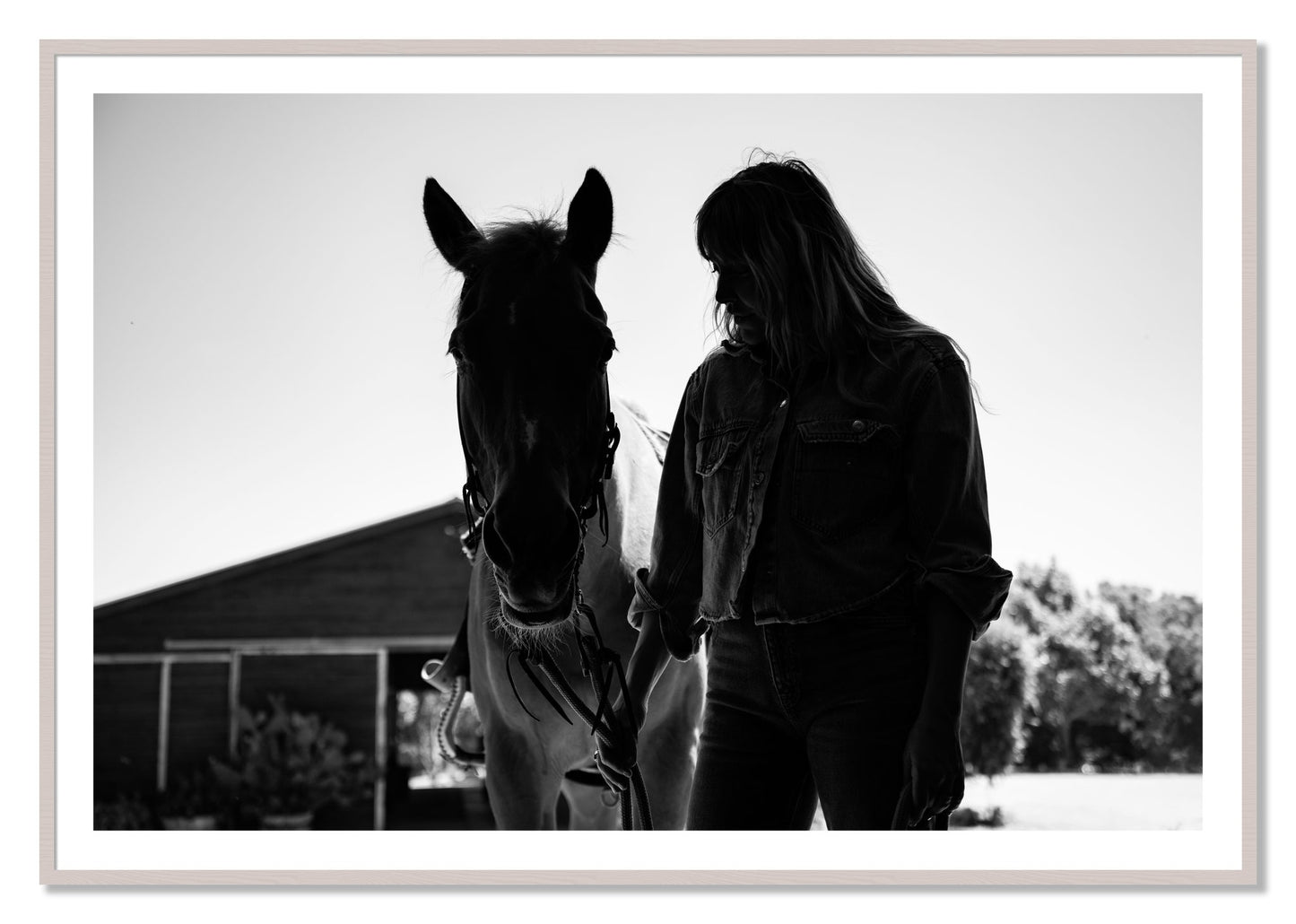 Framed photograph of American Quarter Horse by Dylan Ozanich, White Maple frame, Borders