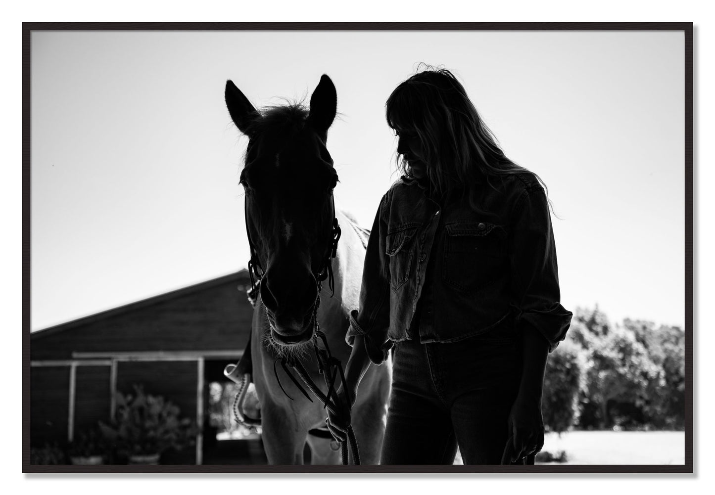 Framed photograph of American Quarter Horse by Dylan Ozanich, Black Walnut frame, Full Bleed