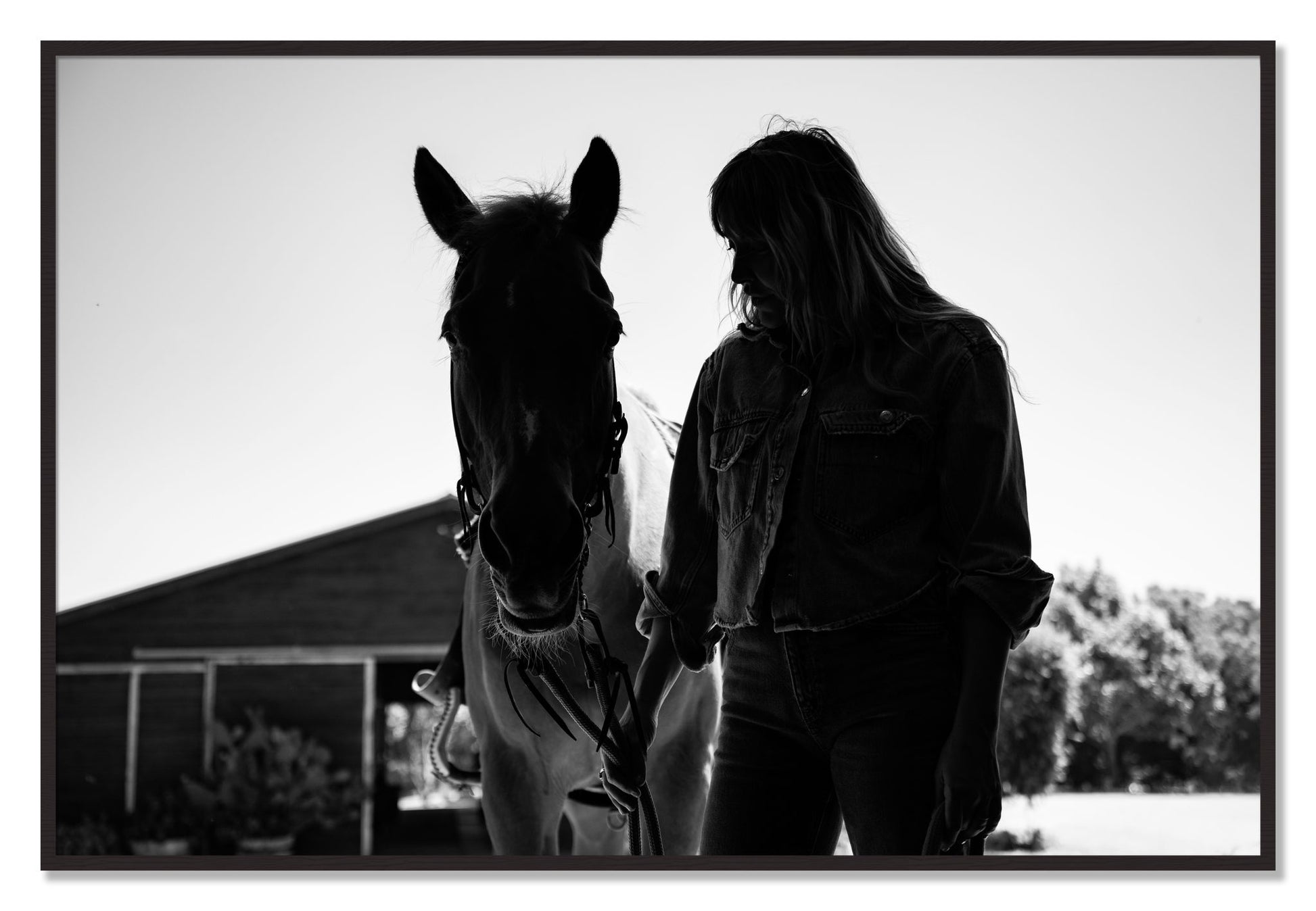 Framed photograph of American Quarter Horse by Dylan Ozanich, Black Walnut frame, Full Bleed