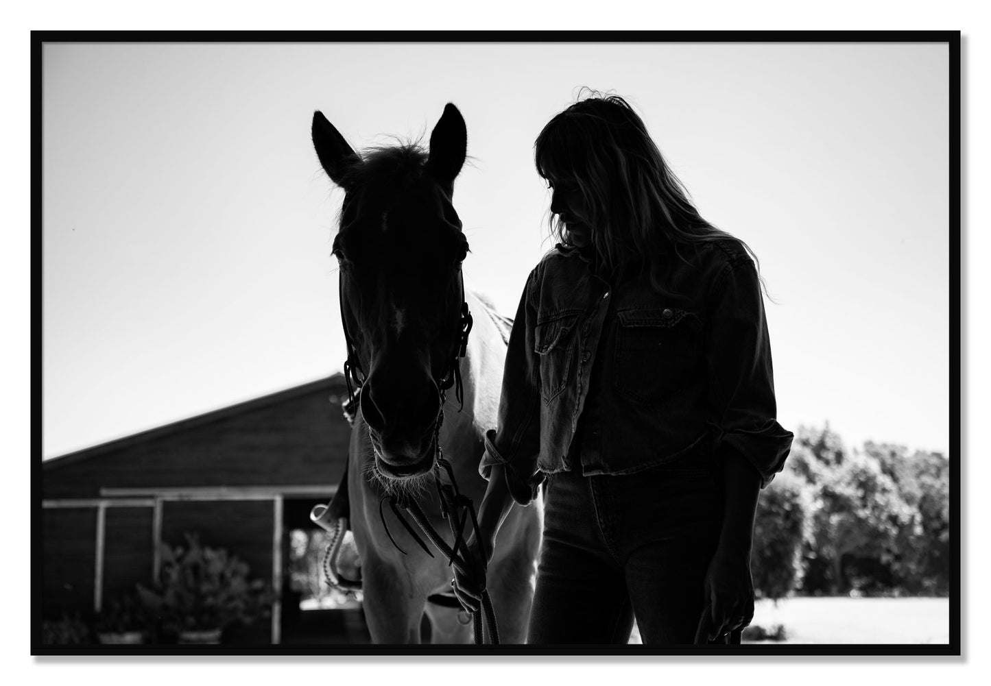 Framed photograph of American Quarter Horse by Dylan Ozanich, Black frame, Full Bleed