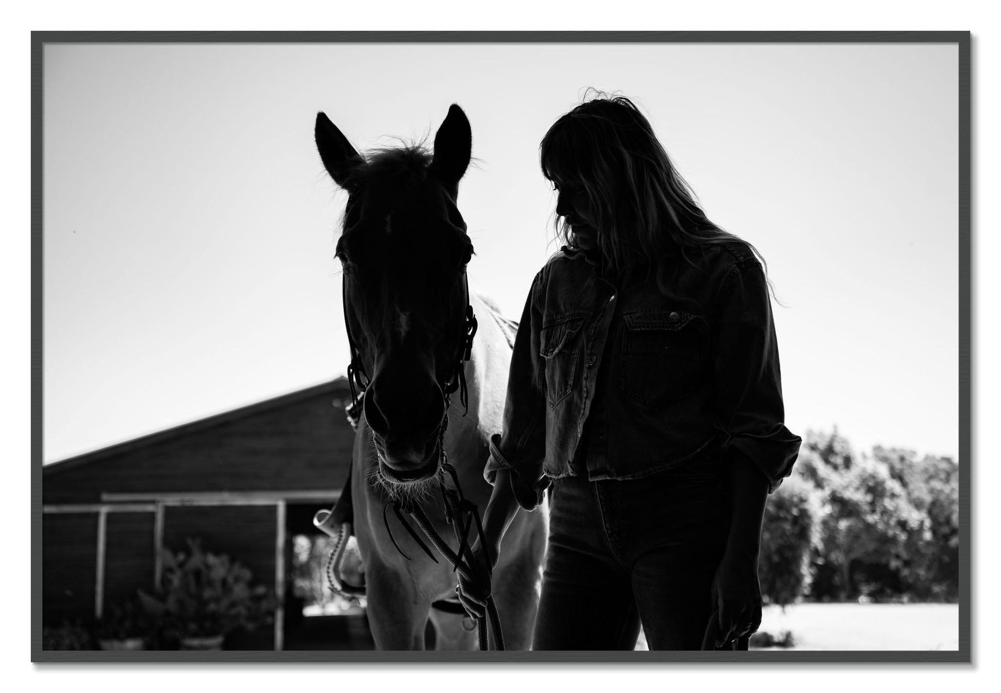 Framed photograph of American Quarter Horse by Dylan Ozanich, Grey frame, Full Bleed