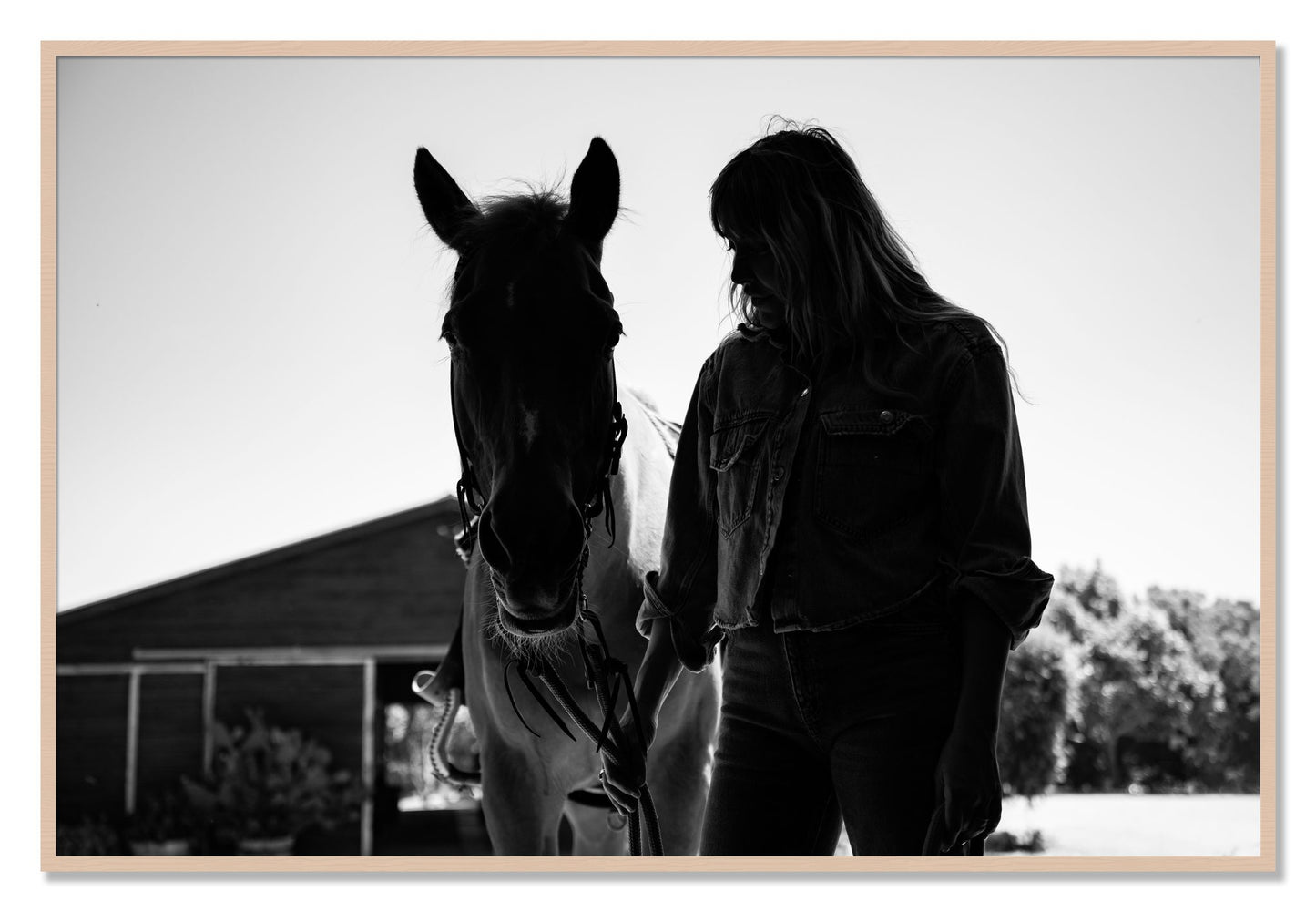 Framed photograph of American Quarter Horse by Dylan Ozanich, Maple frame, Full Bleed