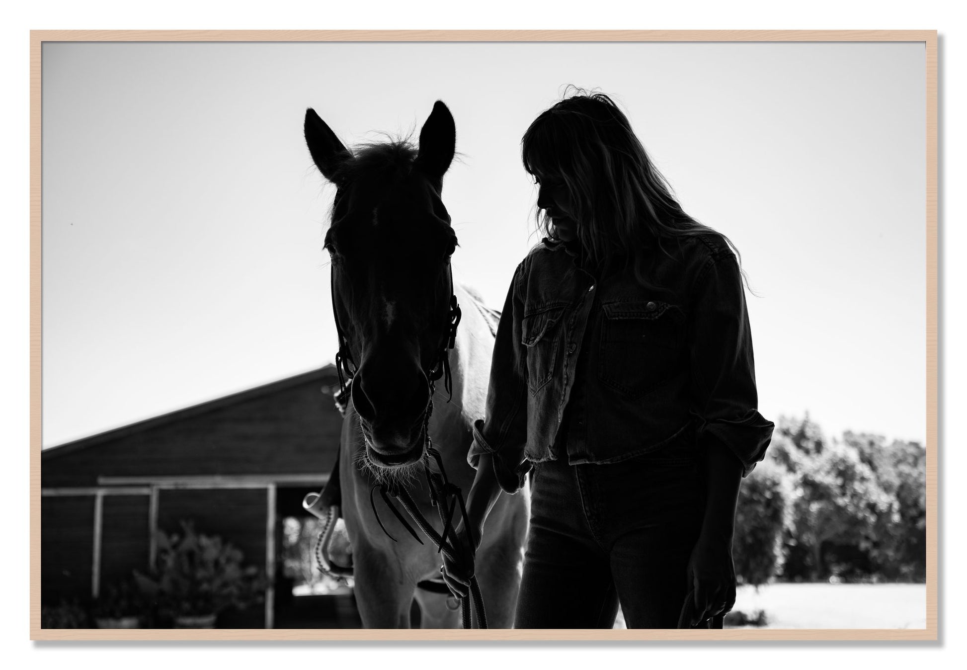 Framed photograph of American Quarter Horse by Dylan Ozanich, Maple frame, Full Bleed