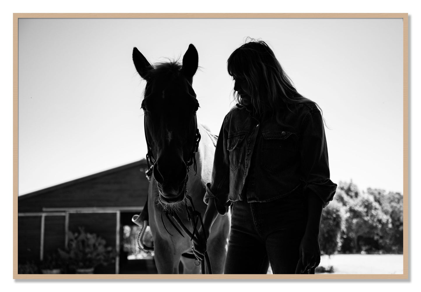 Framed photograph of American Quarter Horse by Dylan Ozanich, Oak frame, Full Bleed