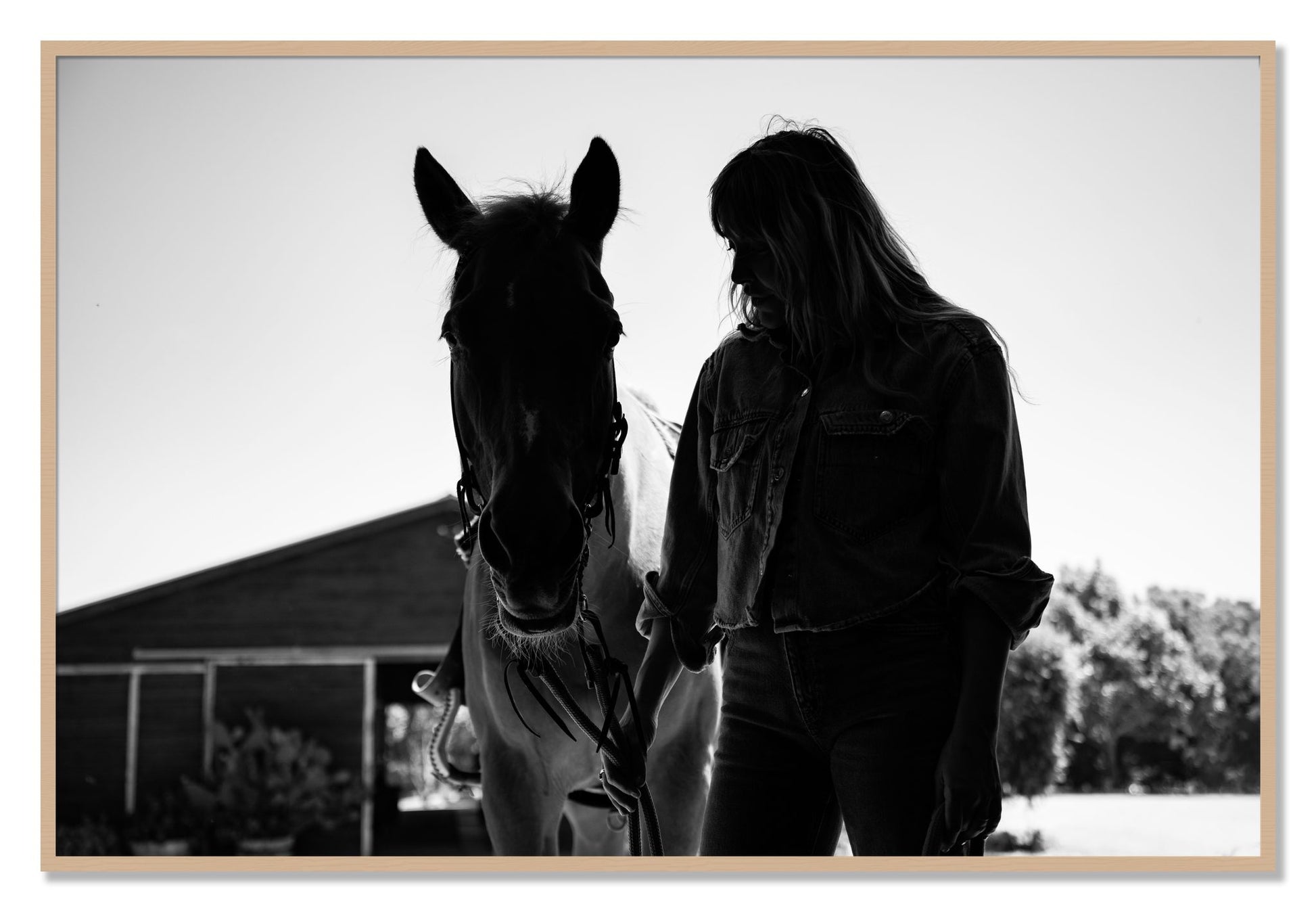 Framed photograph of American Quarter Horse by Dylan Ozanich, Oak frame, Full Bleed