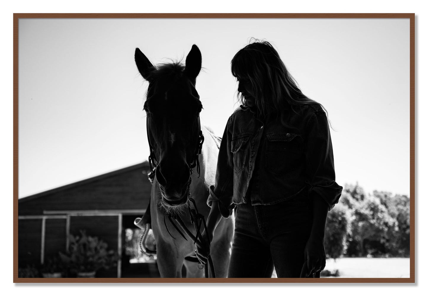 Framed photograph of American Quarter Horse by Dylan Ozanich, Walnut frame, Full Bleed