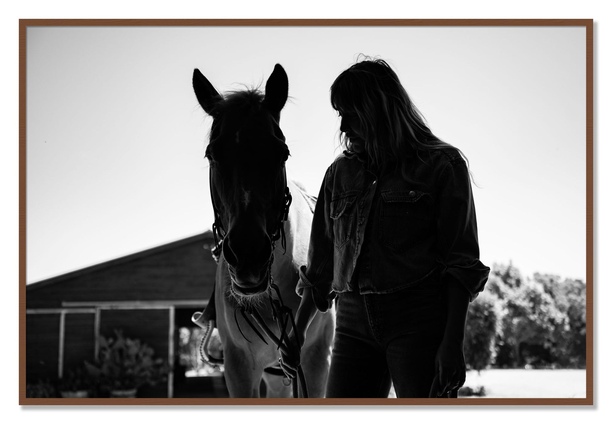 Framed photograph of American Quarter Horse by Dylan Ozanich, Walnut frame, Full Bleed