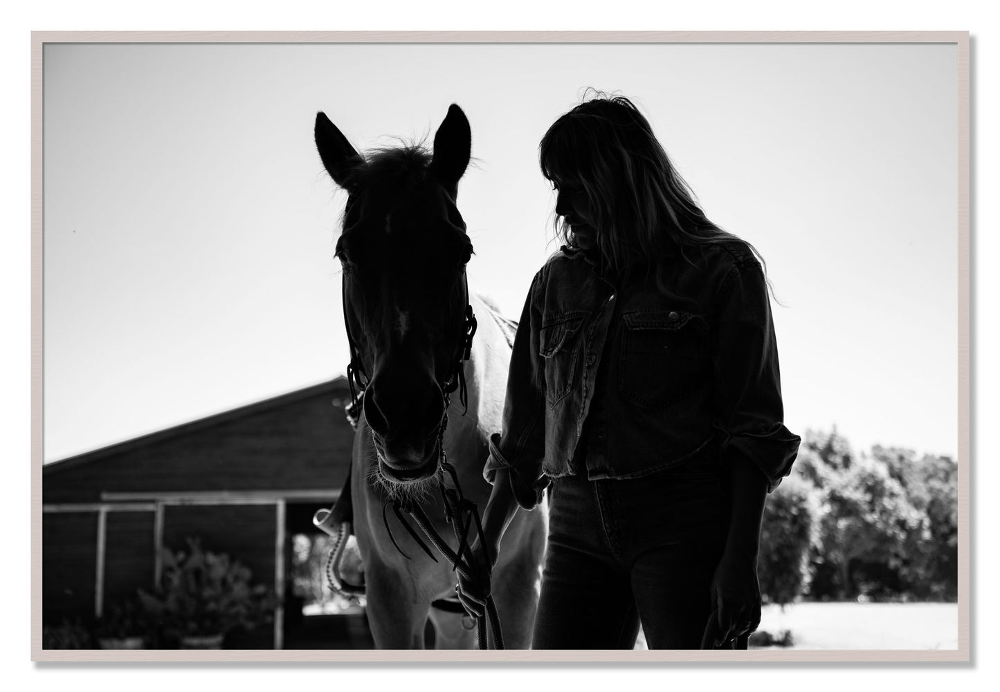 Framed photograph of American Quarter Horse by Dylan Ozanich, White Maple frame, Full Bleed
