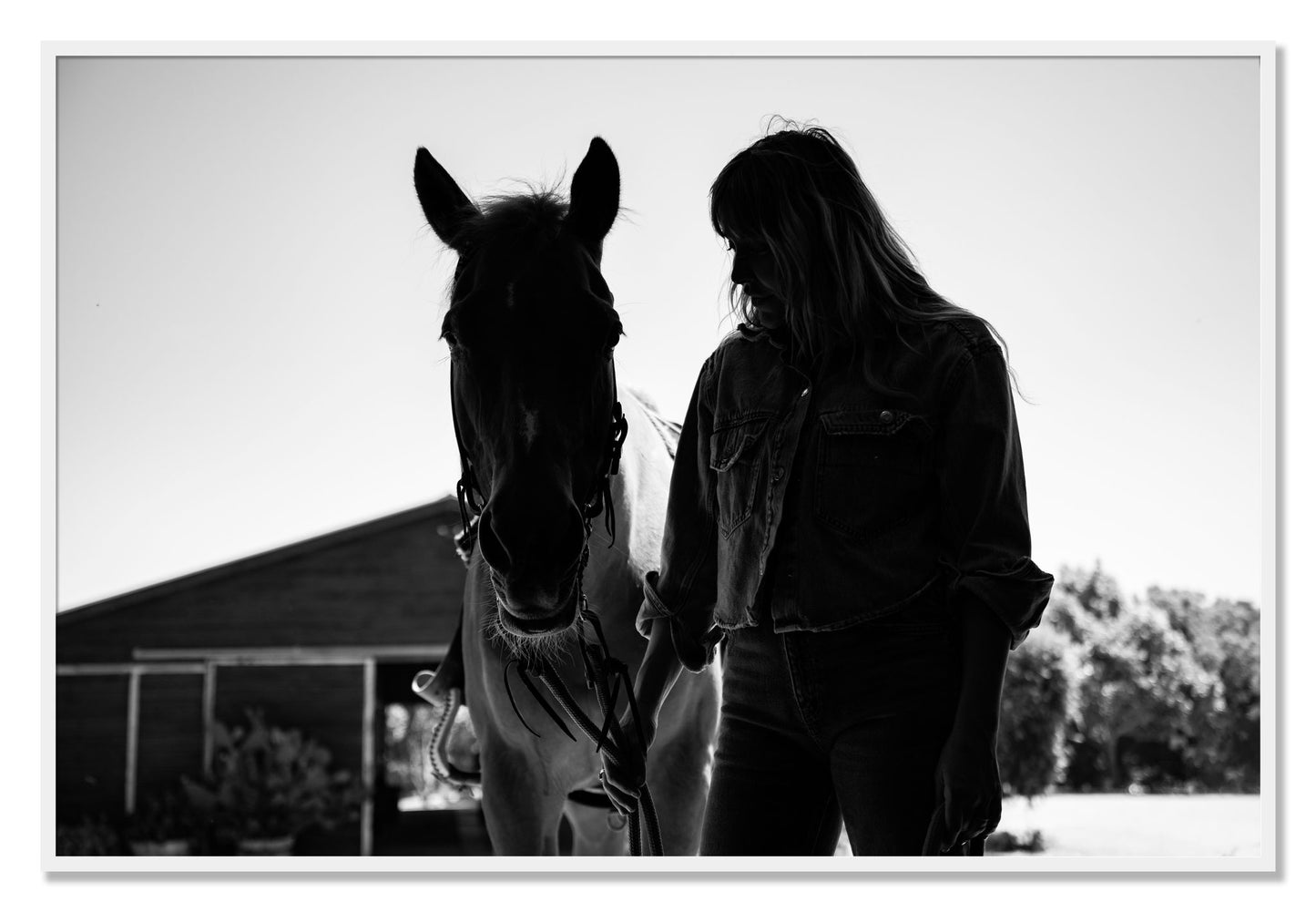 Framed photograph of American Quarter Horse by Dylan Ozanich, White frame, Full Bleed