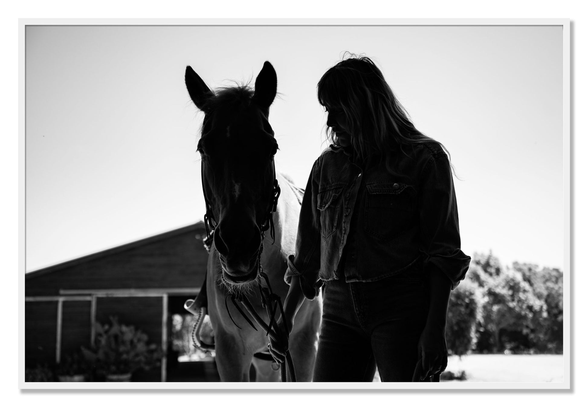 Framed photograph of American Quarter Horse by Dylan Ozanich, White frame, Full Bleed