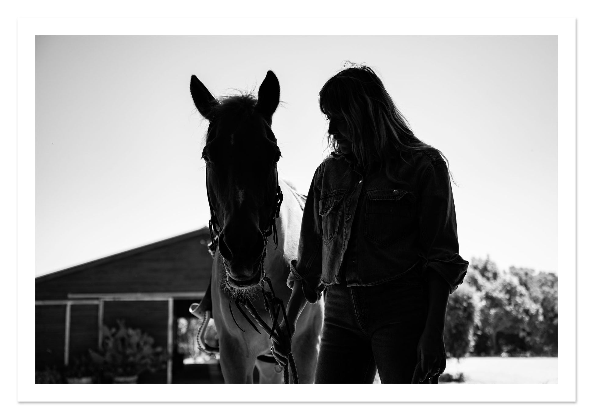 Fine art print of American Quarter Horse by Dylan Ozanich, unframed