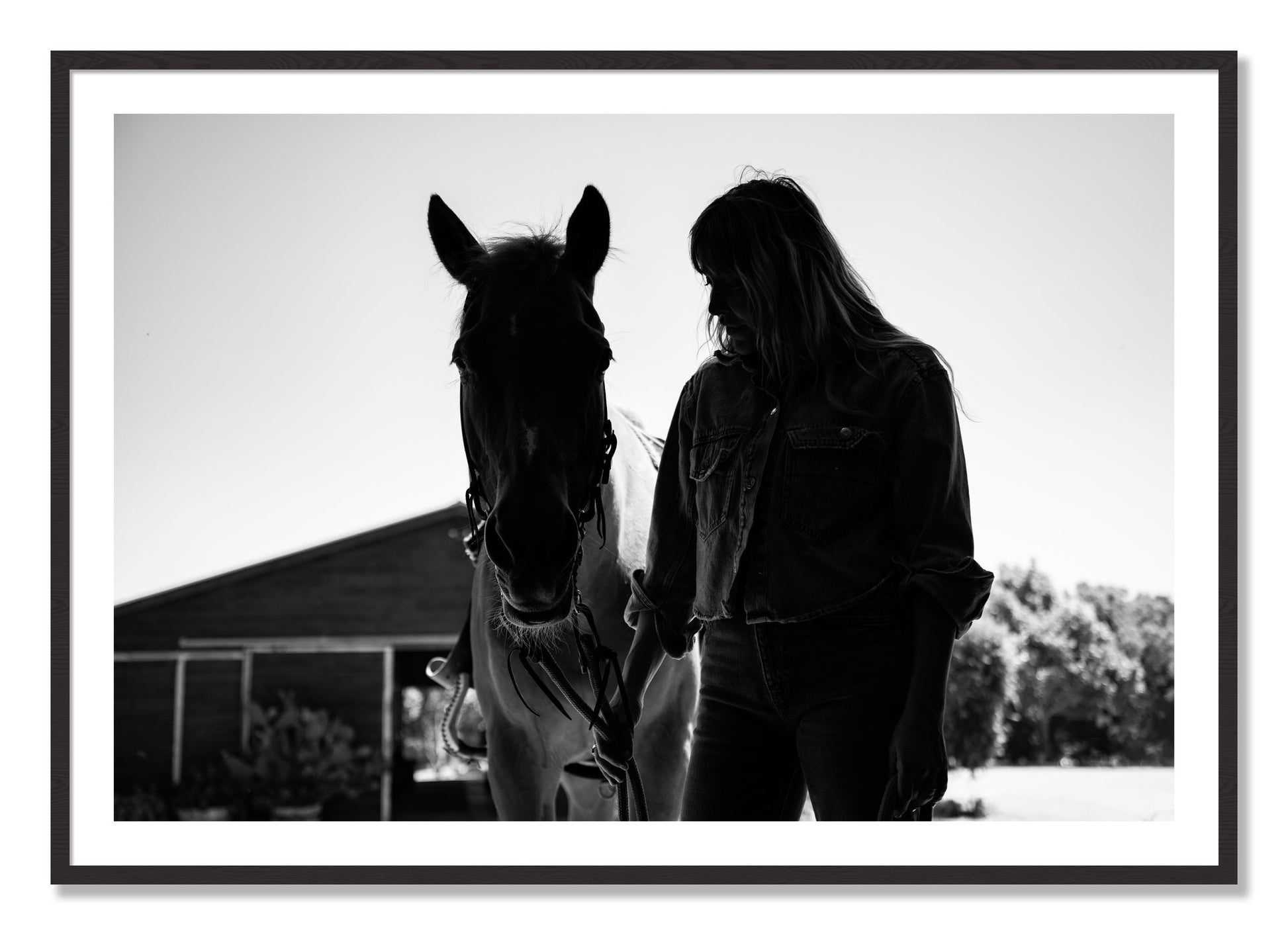 Framed photograph of American Quarter Horse by Dylan Ozanich, Black Walnut frame, Borders