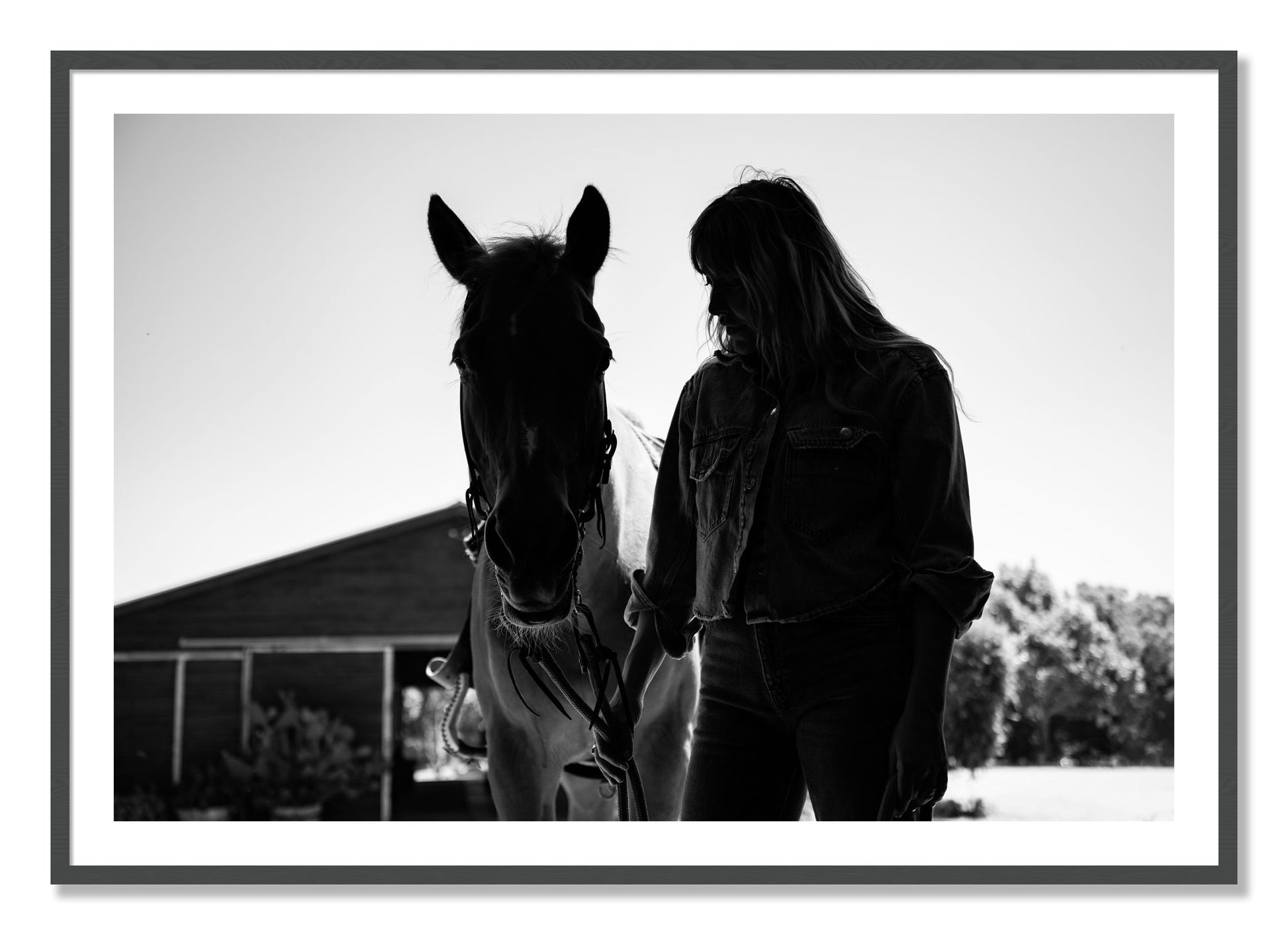Framed photograph of American Quarter Horse by Dylan Ozanich, Grey frame, Borders