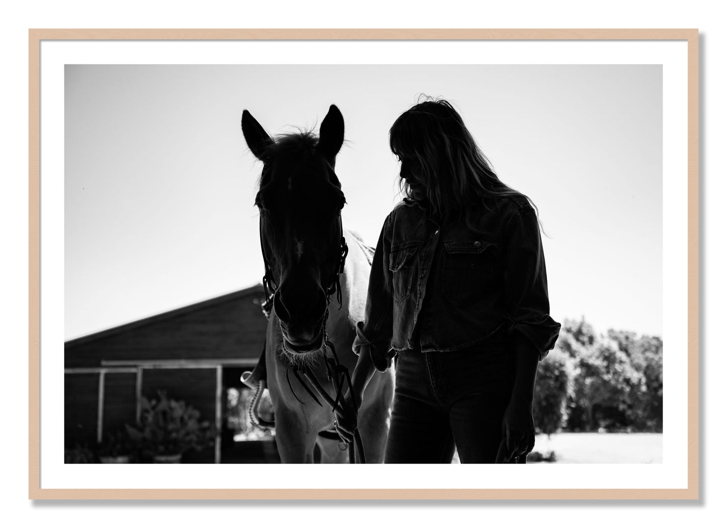 Framed photograph of American Quarter Horse by Dylan Ozanich, Maple frame, Borders