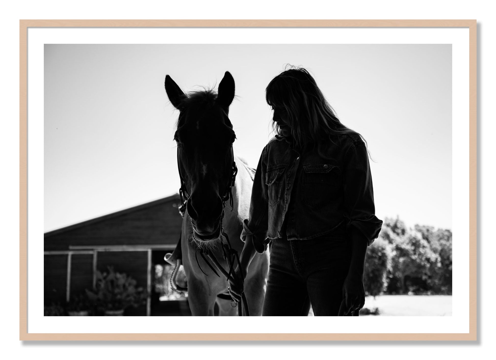 Framed photograph of American Quarter Horse by Dylan Ozanich, Maple frame, Borders