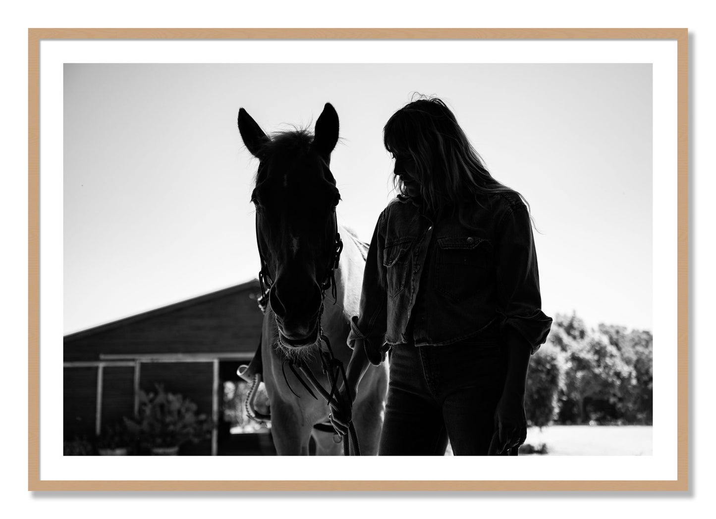 Framed photograph of American Quarter Horse by Dylan Ozanich, Oak frame, Borders