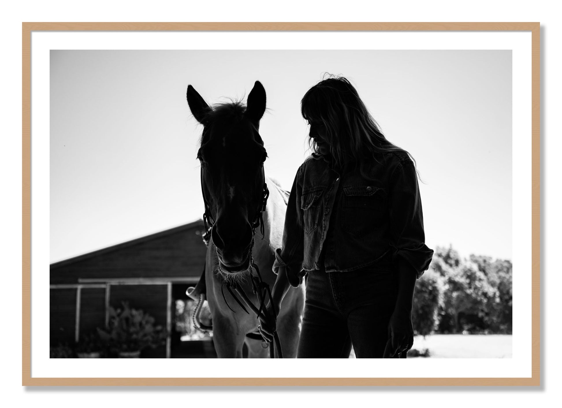 Framed photograph of American Quarter Horse by Dylan Ozanich, Oak frame, Borders
