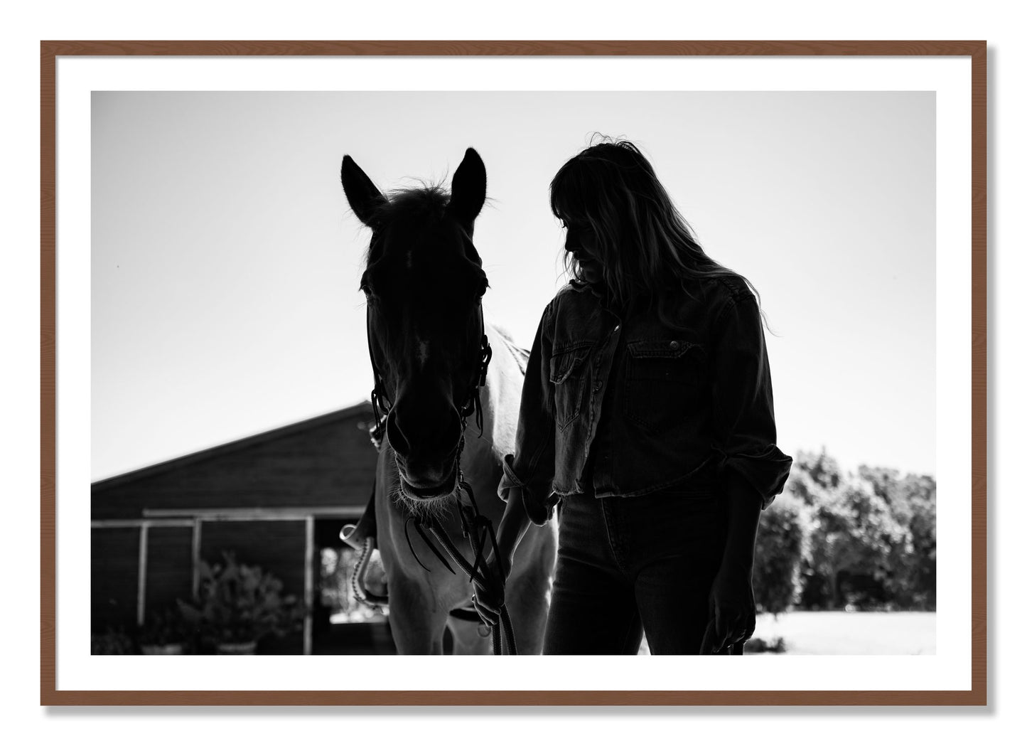 Framed photograph of American Quarter Horse by Dylan Ozanich, Walnut frame, Borders