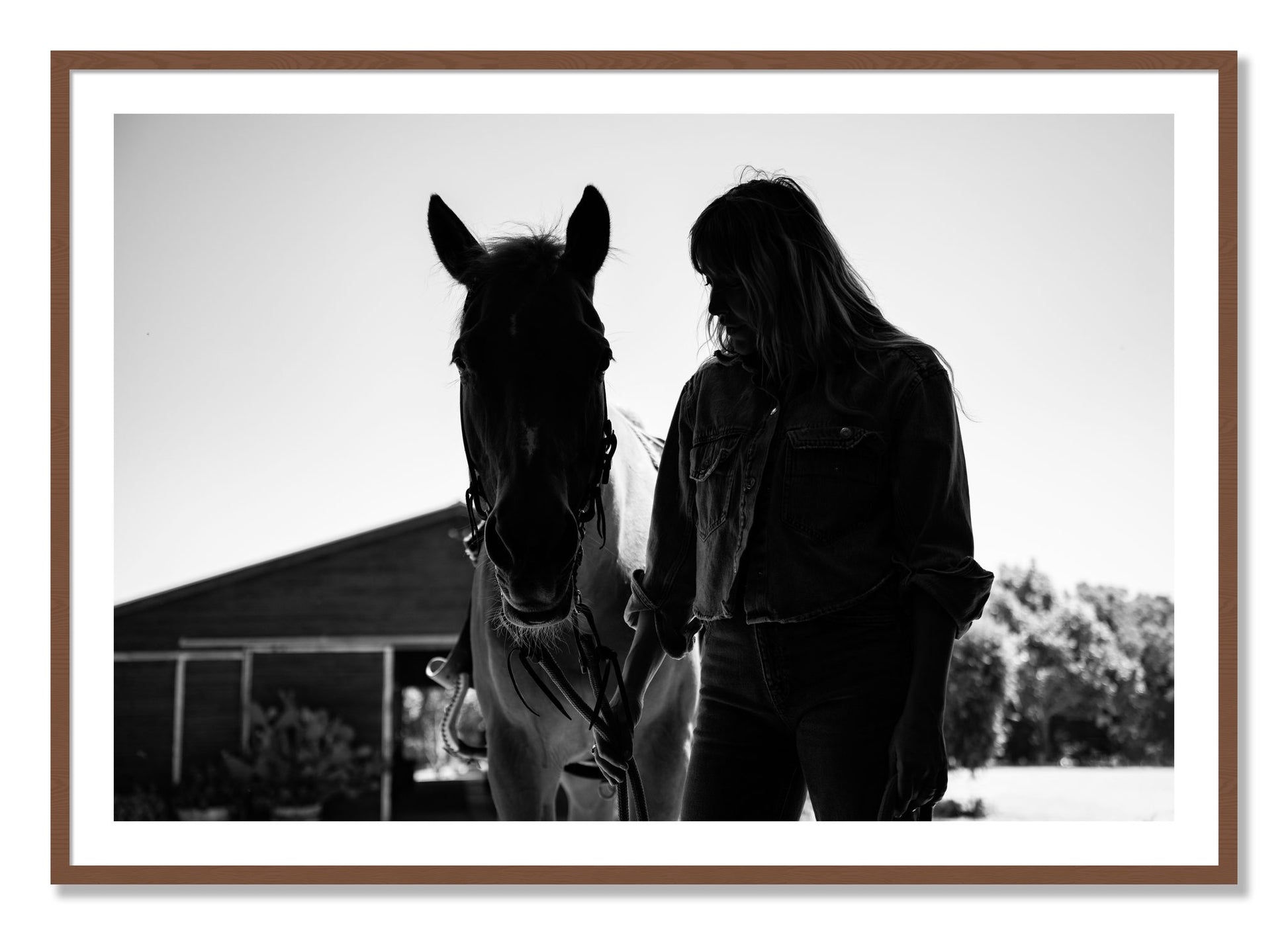 Framed photograph of American Quarter Horse by Dylan Ozanich, Walnut frame, Borders