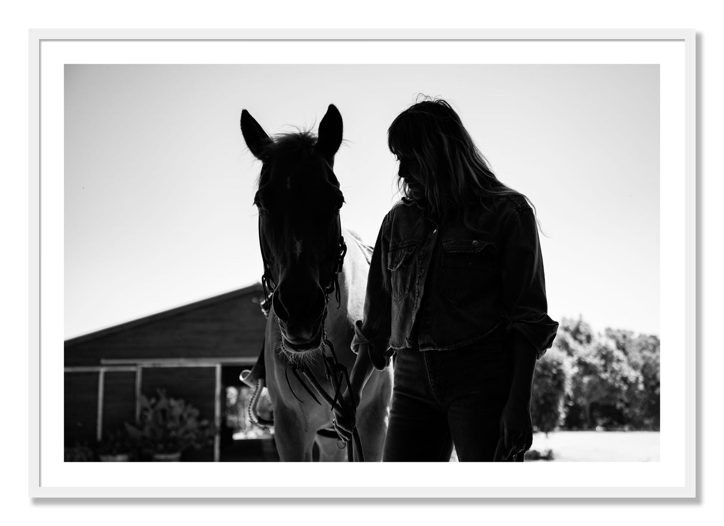 Framed photograph of American Quarter Horse by Dylan Ozanich, White frame, Borders