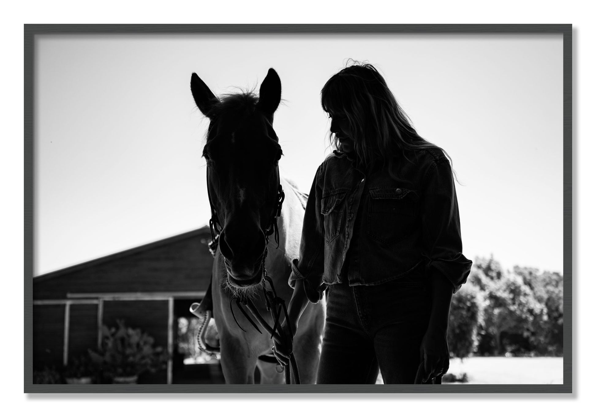 Framed photograph of American Quarter Horse by Dylan Ozanich, Grey frame, Full Bleed