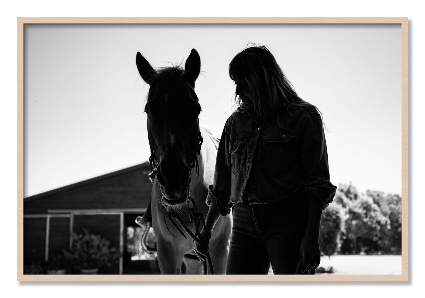Framed photograph of American Quarter Horse by Dylan Ozanich, Maple frame, Full Bleed