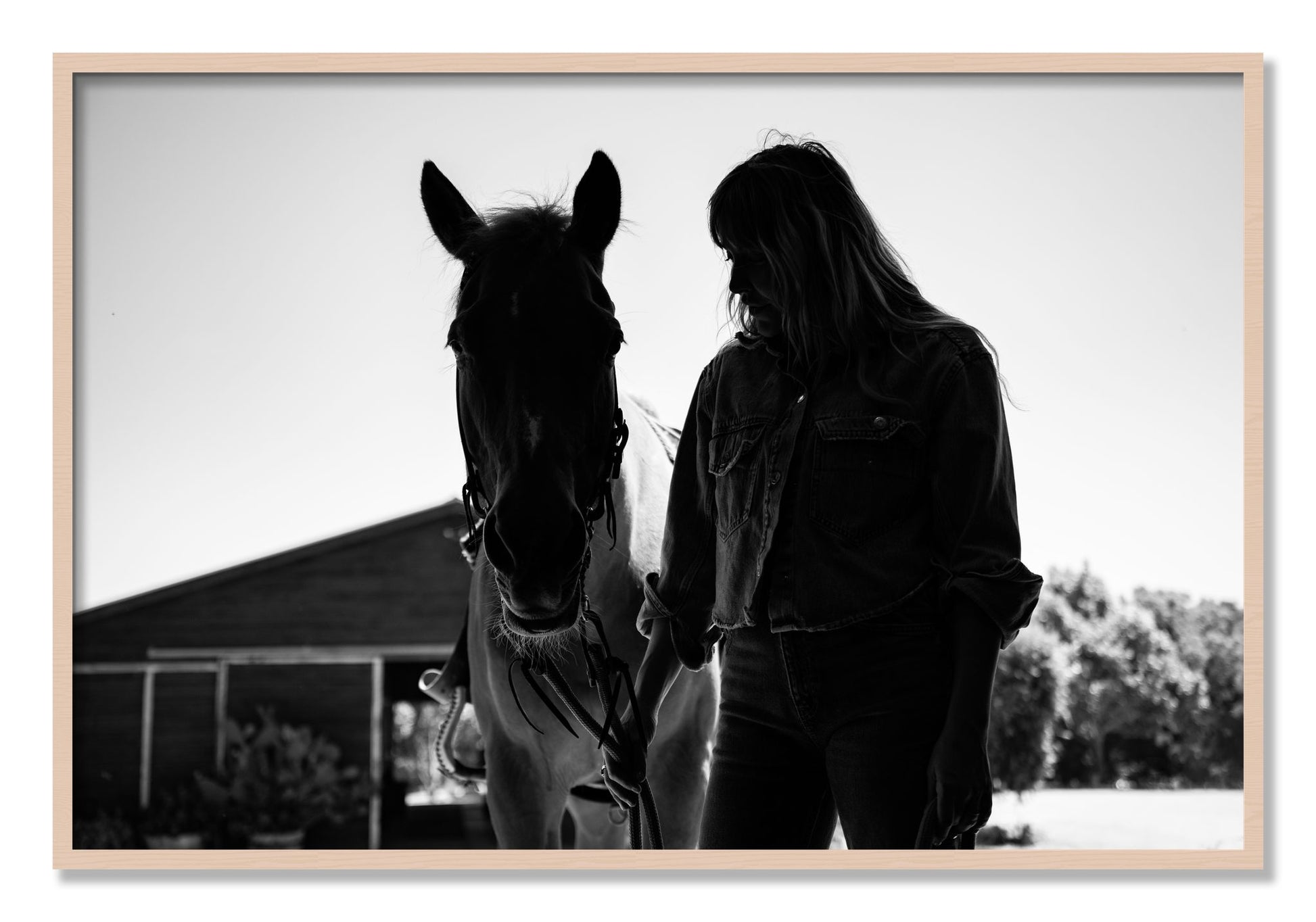 Framed photograph of American Quarter Horse by Dylan Ozanich, Maple frame, Full Bleed