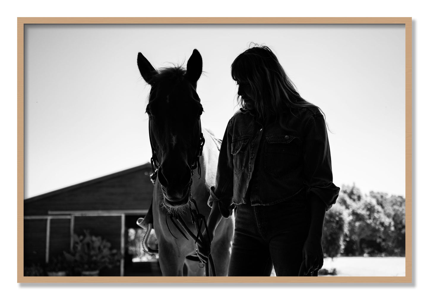Framed photograph of American Quarter Horse by Dylan Ozanich, Oak frame, Full Bleed