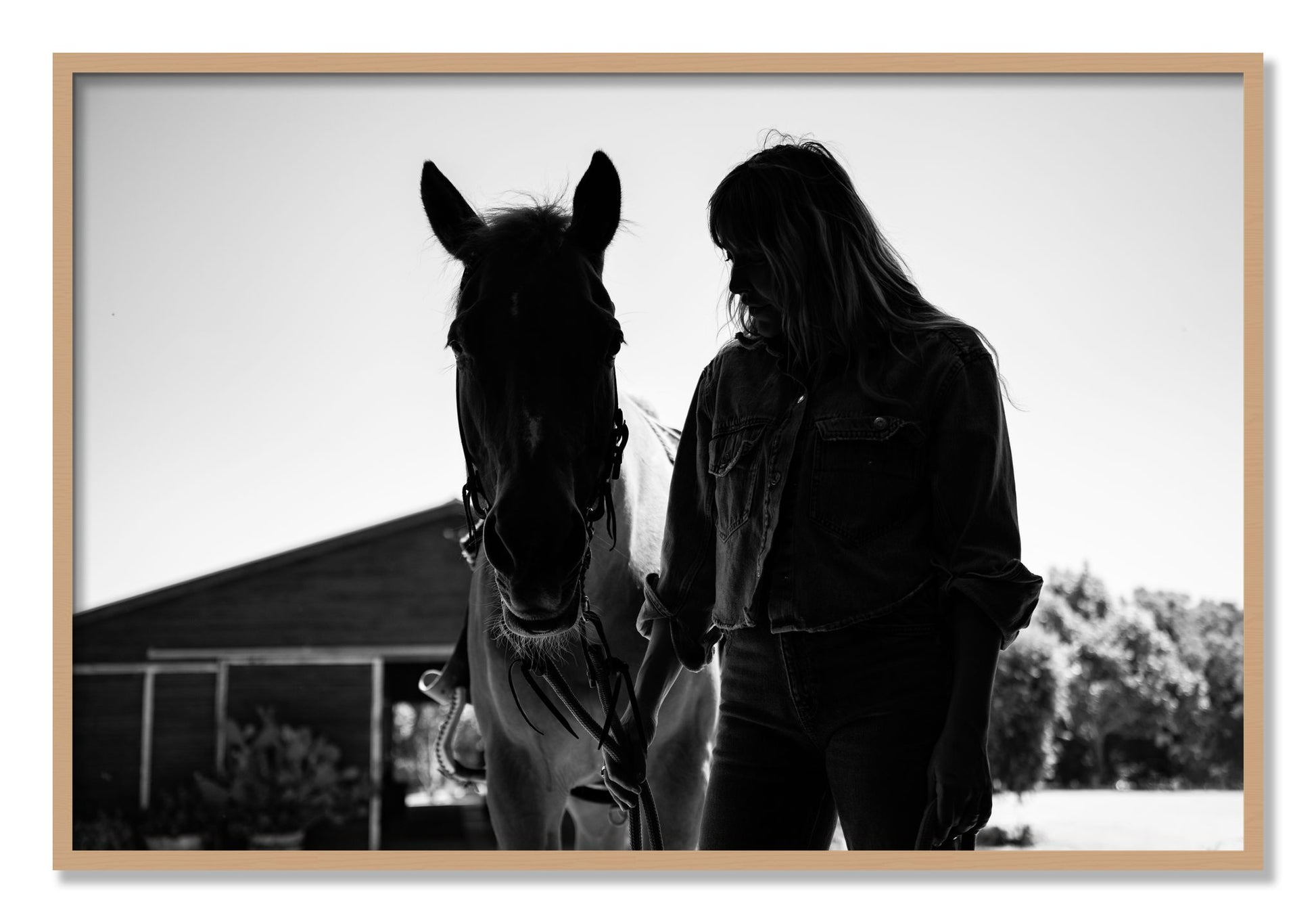 Framed photograph of American Quarter Horse by Dylan Ozanich, Oak frame, Full Bleed