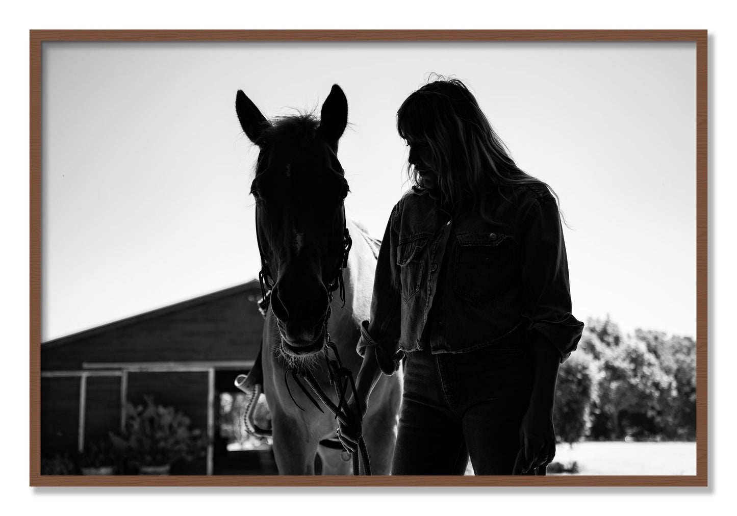 Framed photograph of American Quarter Horse by Dylan Ozanich, Walnut frame, Full Bleed