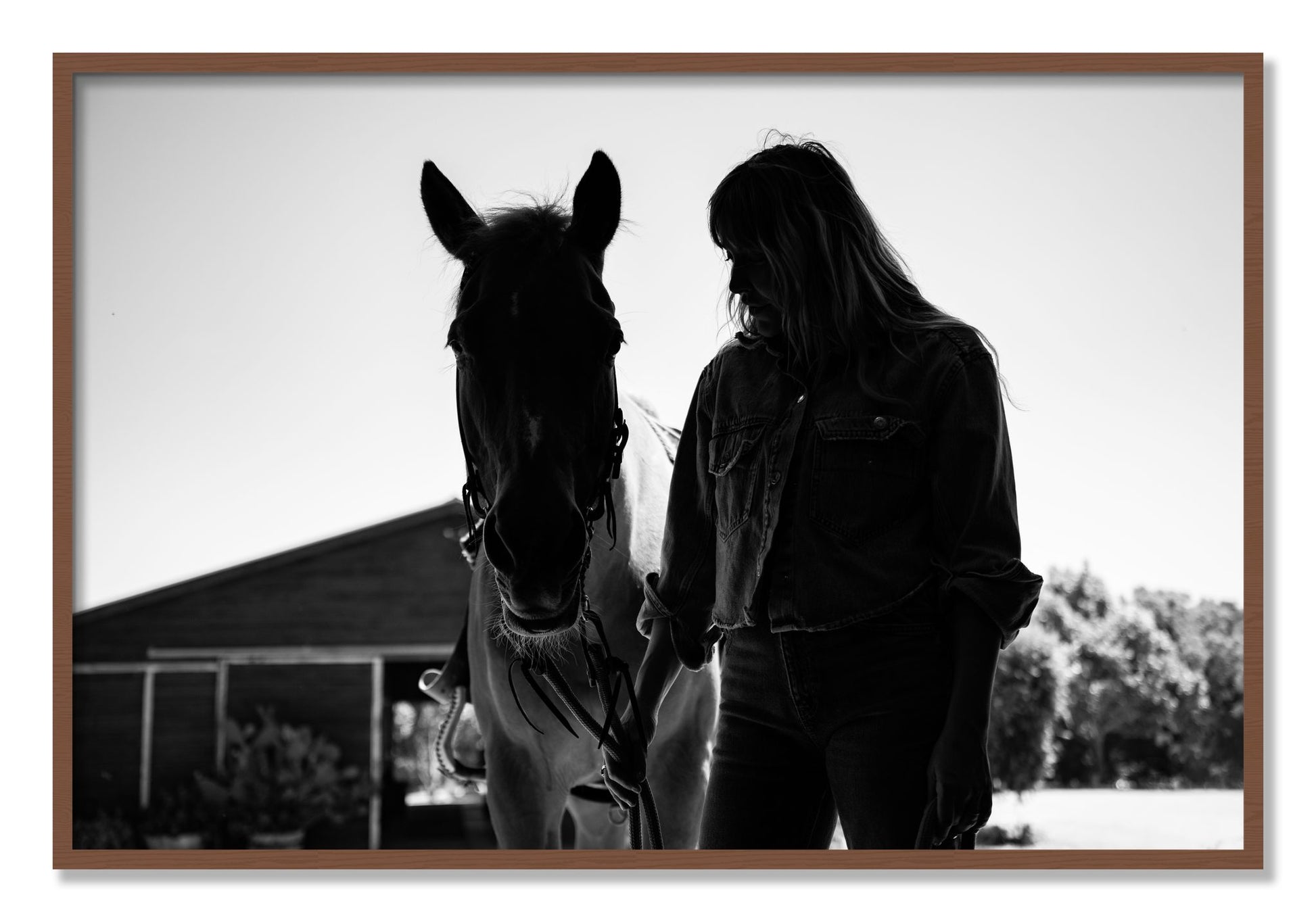 Framed photograph of American Quarter Horse by Dylan Ozanich, Walnut frame, Full Bleed