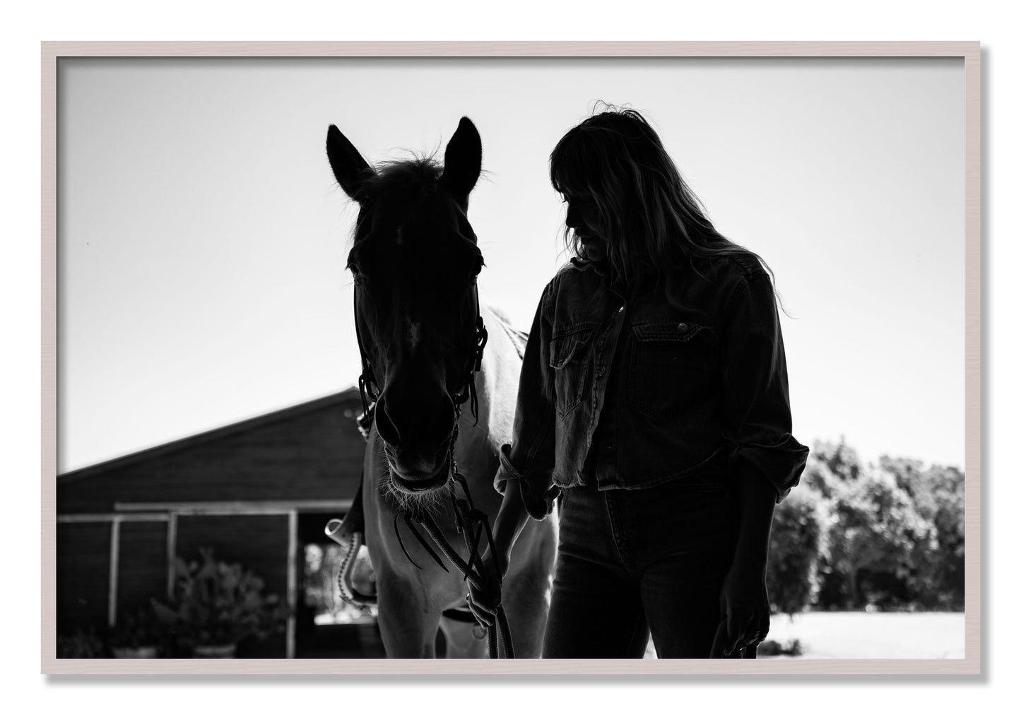 Framed photograph of American Quarter Horse by Dylan Ozanich, White Maple frame, Full Bleed