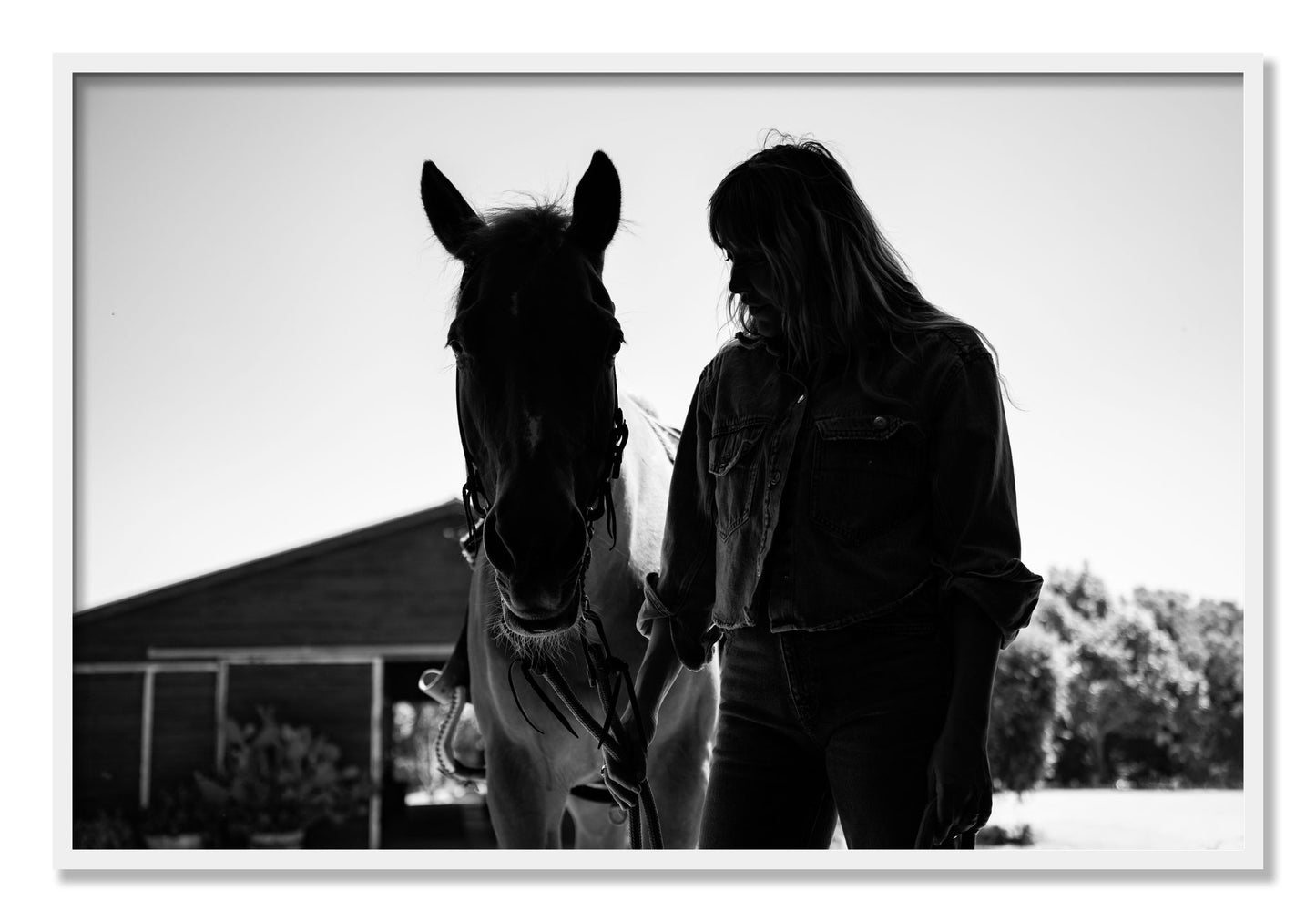 Framed photograph of American Quarter Horse by Dylan Ozanich, White frame, Full Bleed