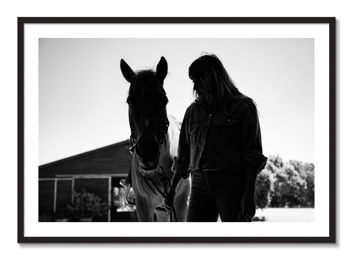 Framed photograph of American Quarter Horse by Dylan Ozanich, Black Walnut frame, Borders