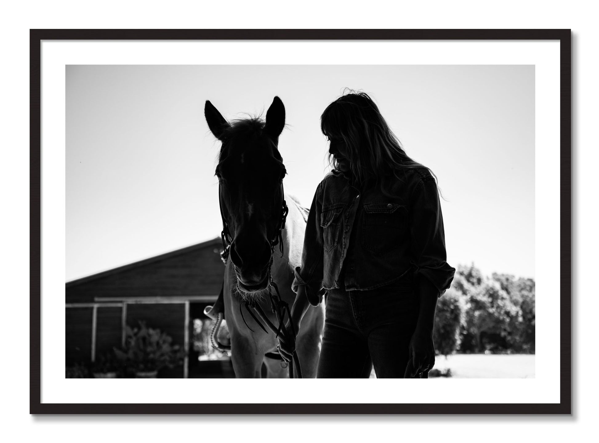 Framed photograph of American Quarter Horse by Dylan Ozanich, Black Walnut frame, Borders