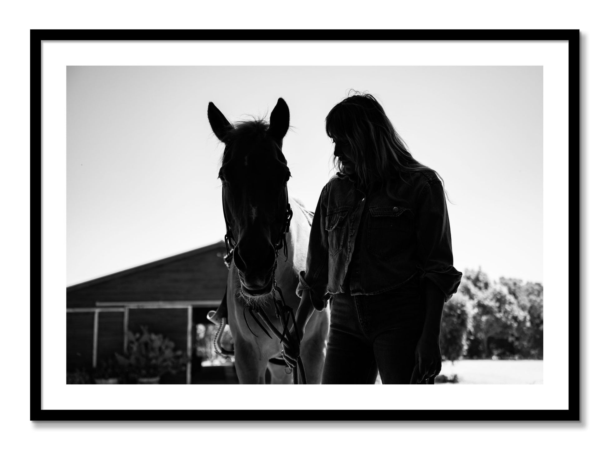Framed photograph of American Quarter Horse by Dylan Ozanich, Black frame, Borders