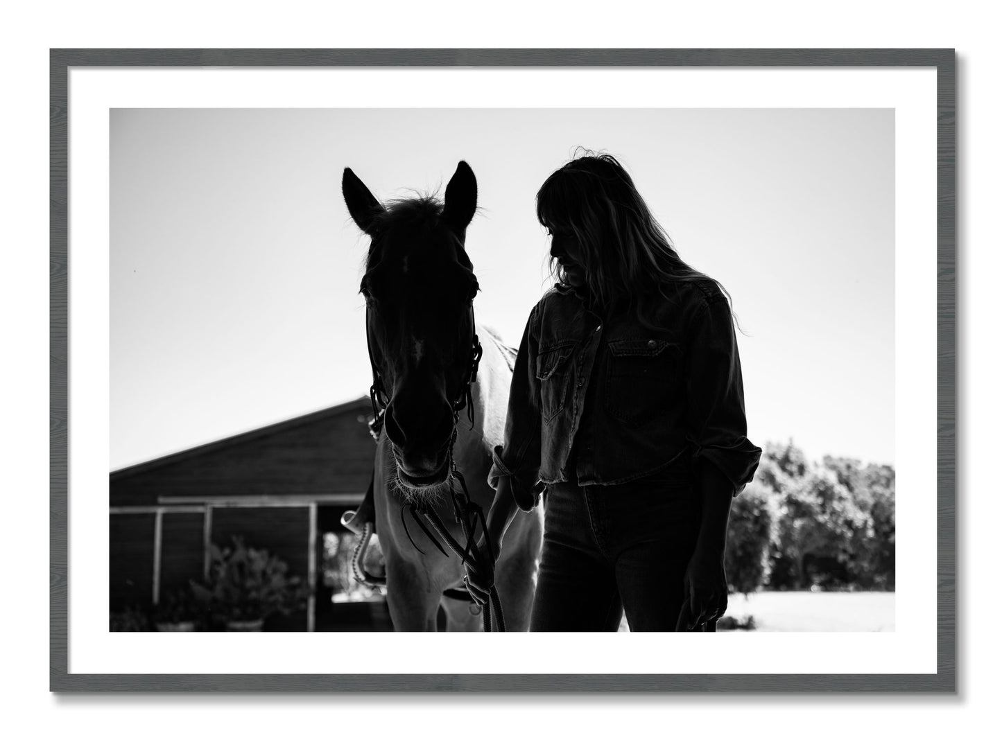 Framed photograph of American Quarter Horse by Dylan Ozanich, Grey frame, Borders