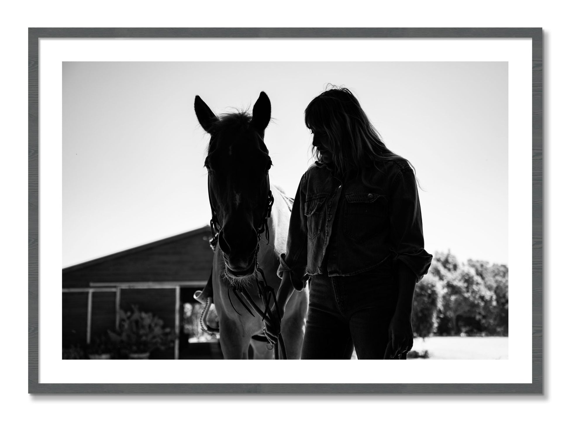 Framed photograph of American Quarter Horse by Dylan Ozanich, Grey frame, Borders