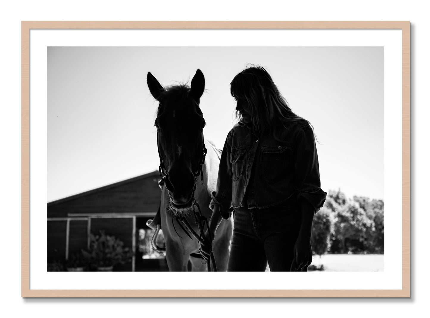 Framed photograph of American Quarter Horse by Dylan Ozanich, Maple frame, Borders