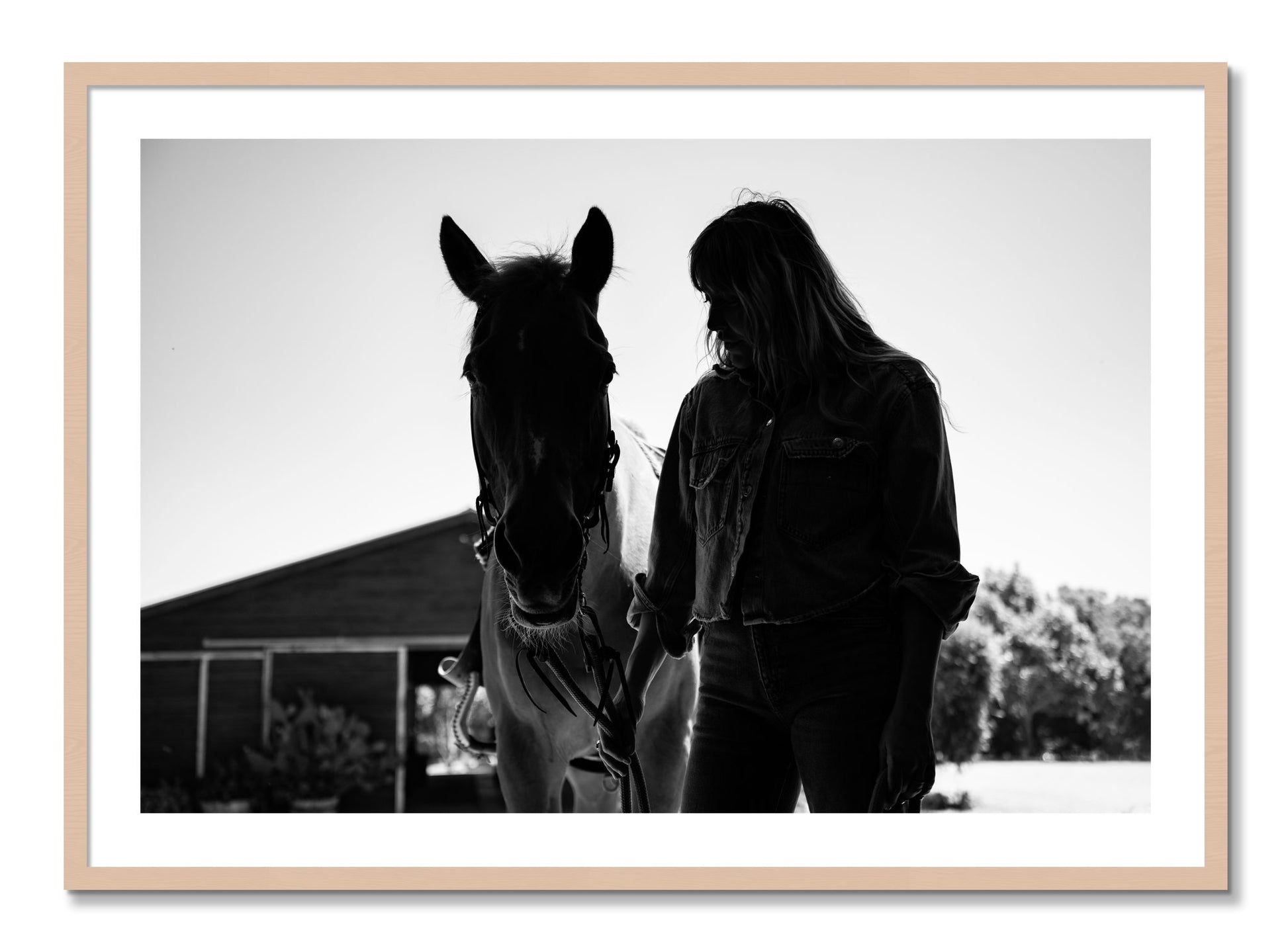 Framed photograph of American Quarter Horse by Dylan Ozanich, Maple frame, Borders