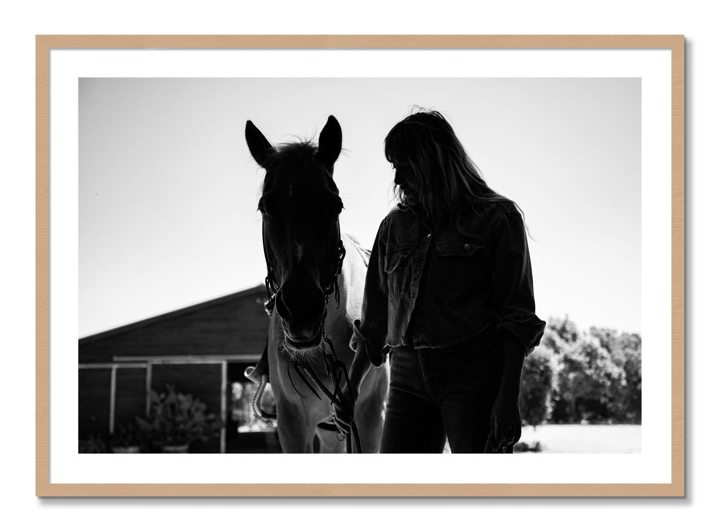 Framed photograph of American Quarter Horse by Dylan Ozanich, Oak frame, Borders